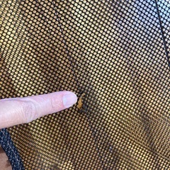 ベビーゲートの画像