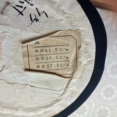 トルソーの画像