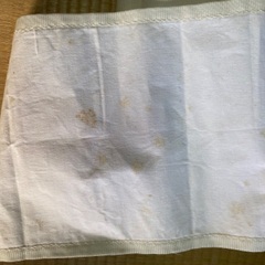 着物帯、正絹帯の画像