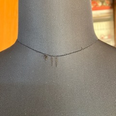 トルソーの画像