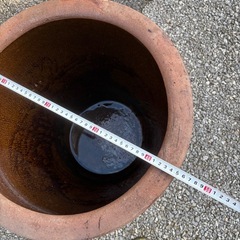 メダカ　鉢の画像