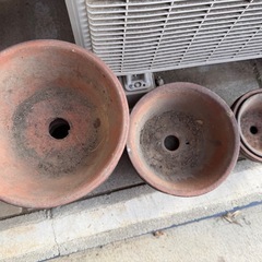 浅めの鉢たくさんの画像