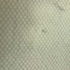 おえかきボードの画像