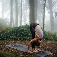 冬のヨガ：体の芯から温める、アンチエージングヨガ｜第2・3・4 ㊏ 70min｜オンラインの画像