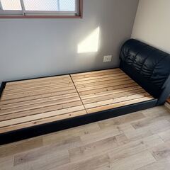 お引き取りいただける方募集しております！の画像