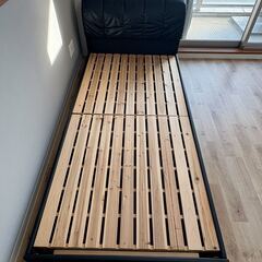 お引き取りいただける方募集しております！の画像