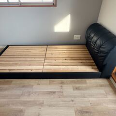 お引き取りいただける方募集しております！の画像