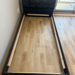 お引き取りいただける方募集しております！の画像