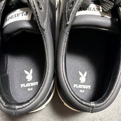 プレイボーイ 26cm
の画像