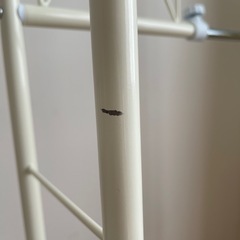 ハンガーラックの画像