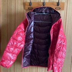 レディースダウンジャケットの画像