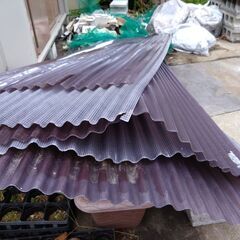 ポリカ波板（5枚）の画像