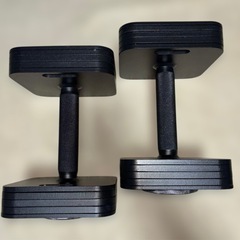 Eisenlink 可変式ダンベル 20kg 2個セットの画像