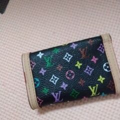 LOUIS VUITTON マルチカラー 長財布の画像