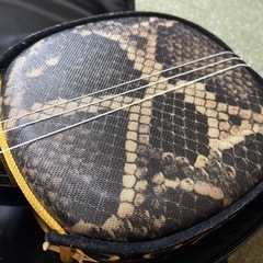 【すぐ弾けるぜんぶセット】沖縄三線の画像