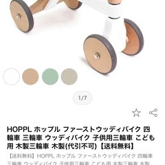 HOPPL ホップルの四輪車の画像