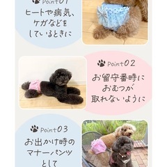 ⭕ワンちゃんのおむつカバー　新品未使用⭕の画像