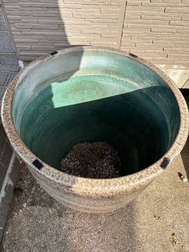 メダカ　鉢