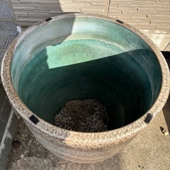 メダカ　鉢の画像