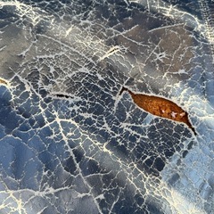 ソファーの画像