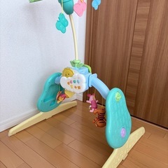 プーメリーの画像