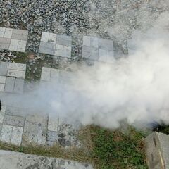 ドラゴンジェットプロスチームクリーナーの画像