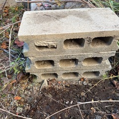 コンクリート【今週までの画像