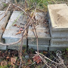 コンクリート【今週までの画像