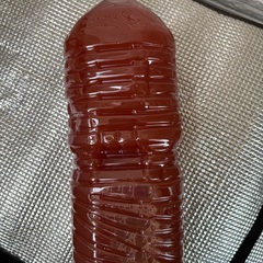 光合成細菌(PSB) メダカ・熱帯魚飼育や家庭菜園に 900mlか２ℓペットボトル各1本づつありの画像