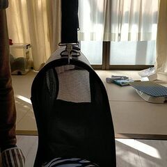 猫 キャット キャリーバッグの画像