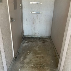 害虫・害獣・害鳥など無料で見積もりします！ - 手伝いたい/助けたい