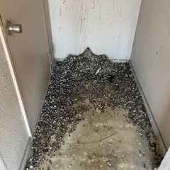 害虫・害獣・害鳥など無料で見積もりします！ - 松原市