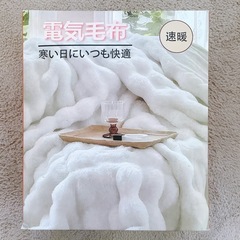 電気毛布 ふわふわ 掛け敷き兼用 炭素繊維ヒーター ベージュ 190×130の画像