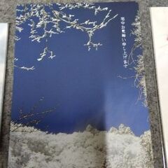 ポストカード　ハガキ　 25枚の画像