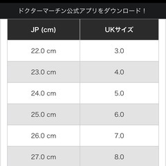 ドクターマーチン センタージップの画像