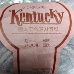 毛糸　2玉半の画像