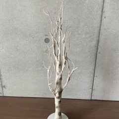 白樺ウッド調　イルミネーションツリーの画像