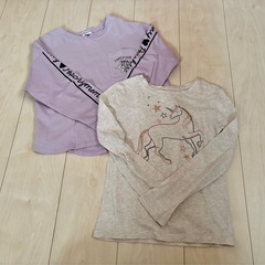 サイズ120 ⑥　の画像