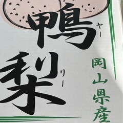 岡山県鴨梨1個の画像