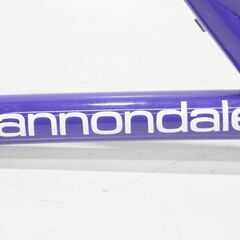 CANNONDALE 「キャノンデール」 DELTA V 900 1992年モデル フレームの画像