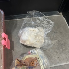 ハムスター ゲージセットの画像