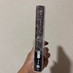 風をつかまえた少年の画像