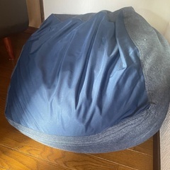 ニトリ　ビーズクッションの画像