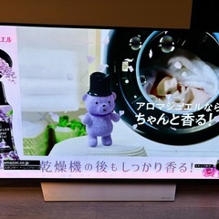 LGエレクトロニクス 有機ELテレビ OLED55C7P 55V型の画像