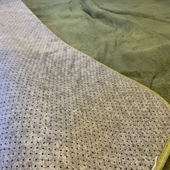 みどりのカーペットの画像