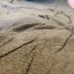 みどりのカーペットの画像