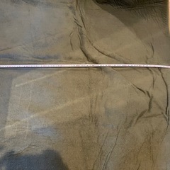 みどりのカーペットの画像