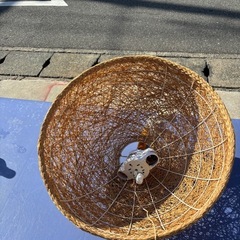 籐型照明
の画像