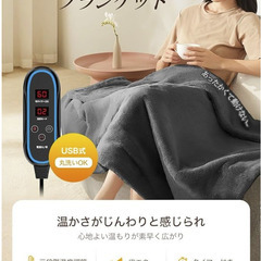 【新品未使用】電気毛布 電気ひざ掛け の画像