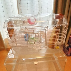 ハムスター小屋セット色々の画像